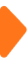 issue icon